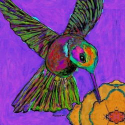 HUMMINGBIRD ON PURPLE